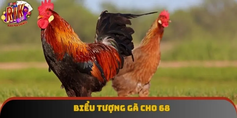 Biểu tượng gà cho 68 Biểu tượng gà cho 68