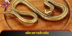 Nằm Mơ Thấy Rắn | Giải Mã Chính Xác Giấc Mơ Cho Lô Thủ